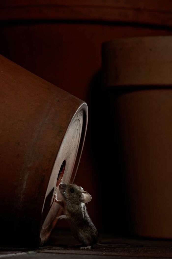 image-20260428171657-2