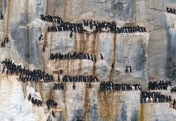 image-20260428171659-3