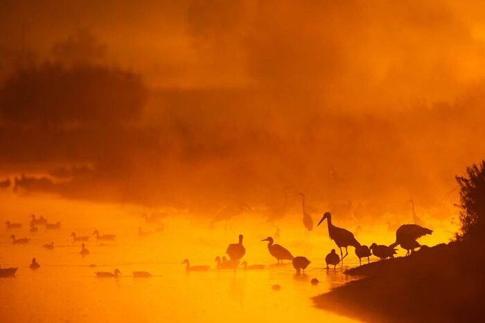 image-20260428171708-6