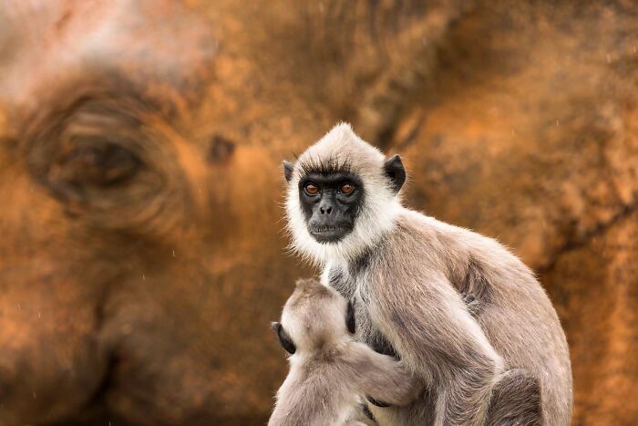 image-20260428171717-9