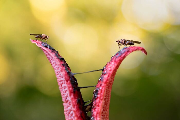 image-20260428171729-13