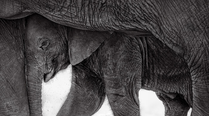 image-20260428171734-15