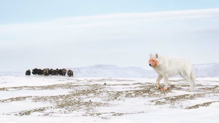 image-20260428171737-16