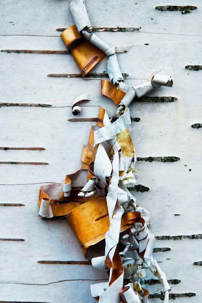 image-20260428171742-17