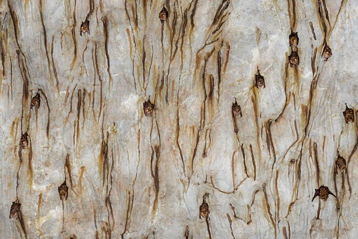 image-20260428171745-18