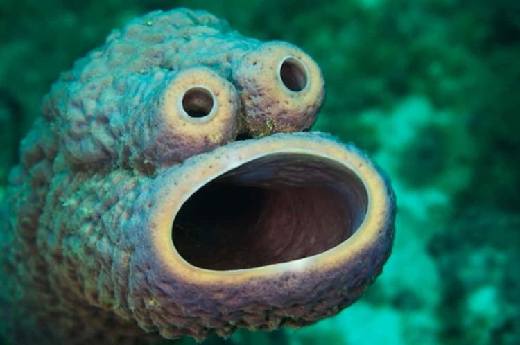 image-20260428190429-1