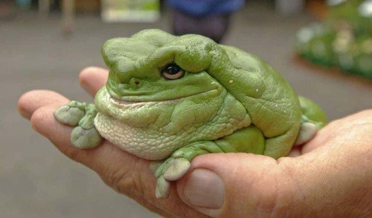 image-20260428190435-3