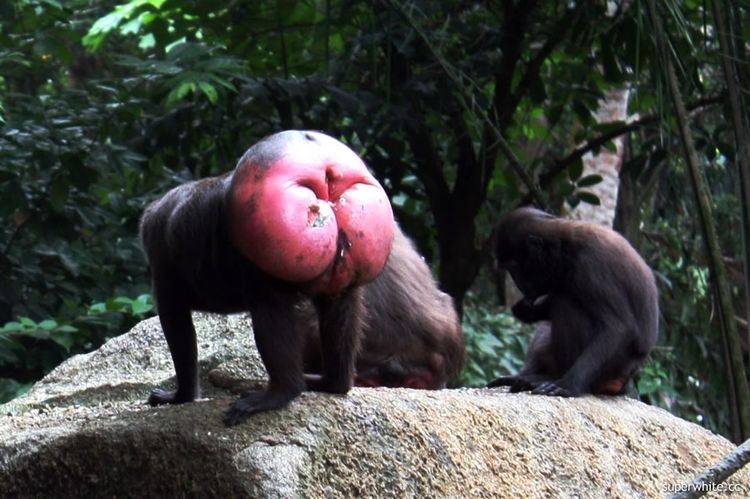 image-20260428190445-6