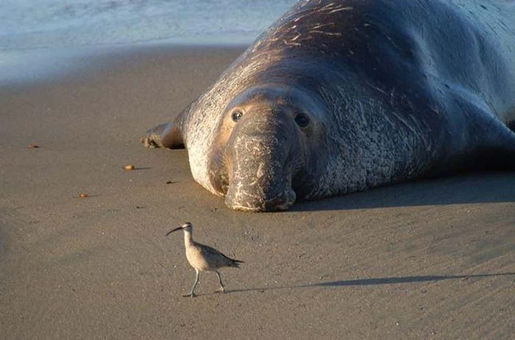 image-20260428190448-7