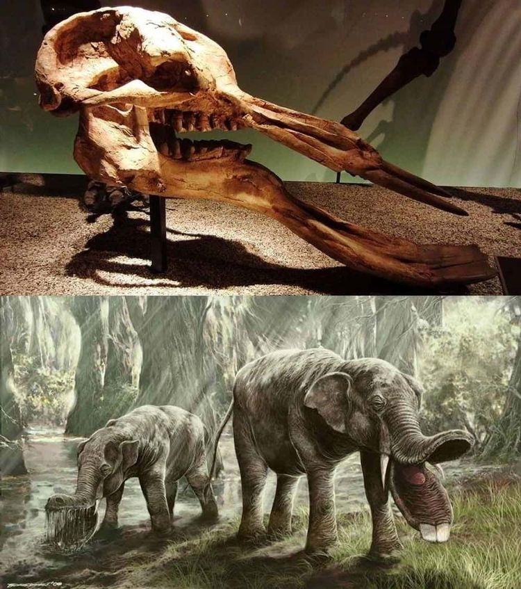 image-20260428190451-8