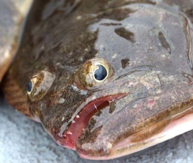 image-20260428190455-9