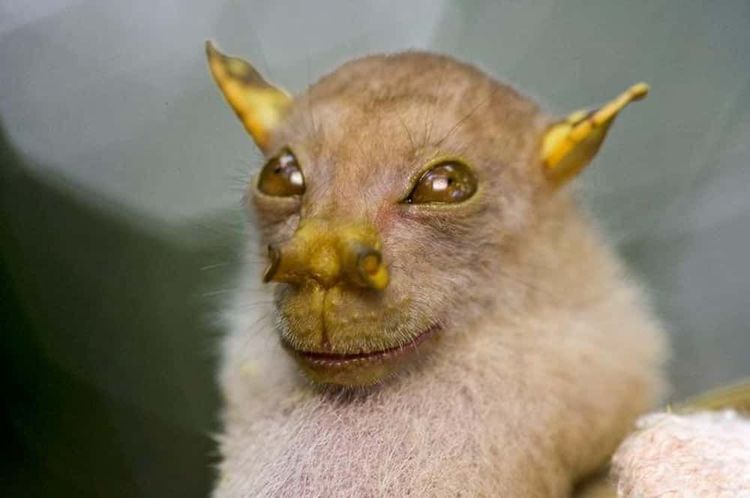 image-20260428190457-10