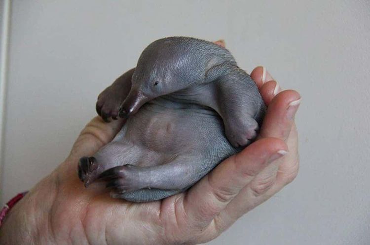 image-20260428190507-13