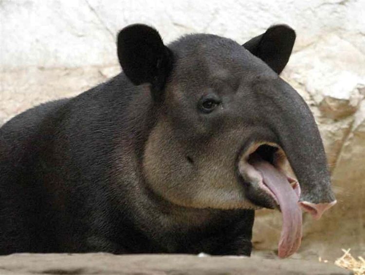 image-20260428190515-16