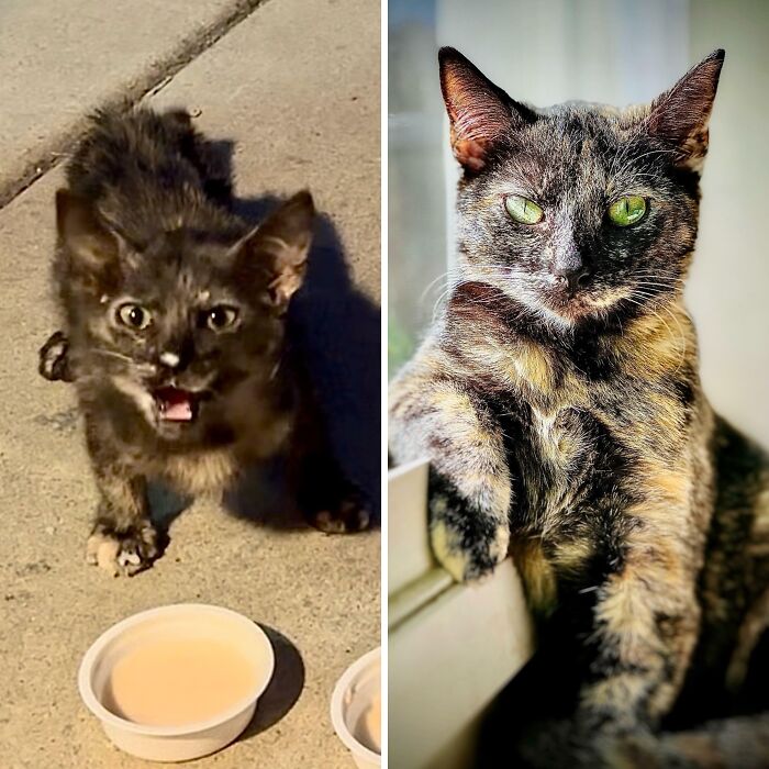 image-20260429151901-1