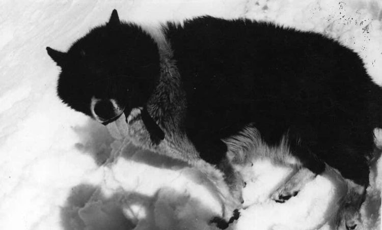 image-20260429173133-1