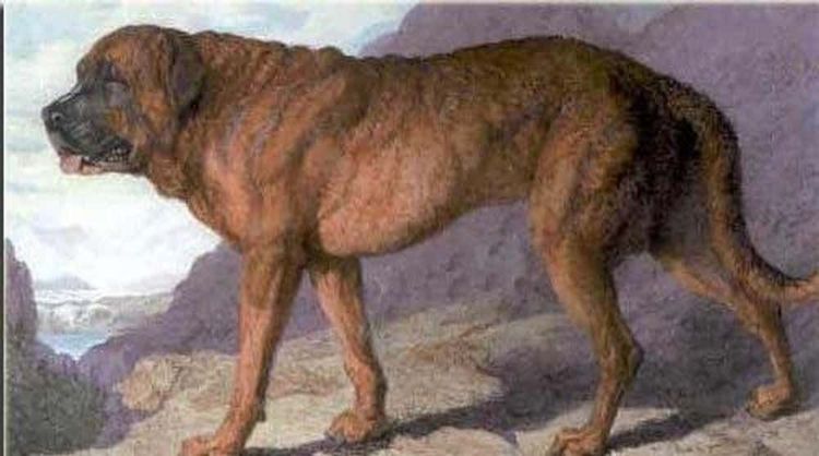 image-20260429173136-2