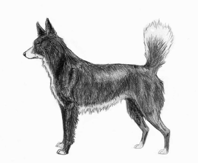 image-20260429173141-4