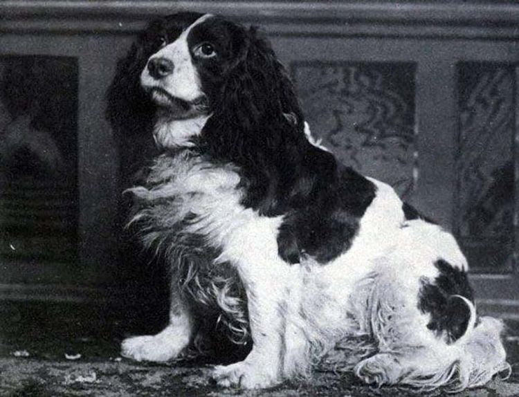 image-20260429173148-6