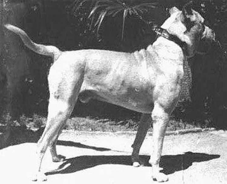 image-20260429173158-9