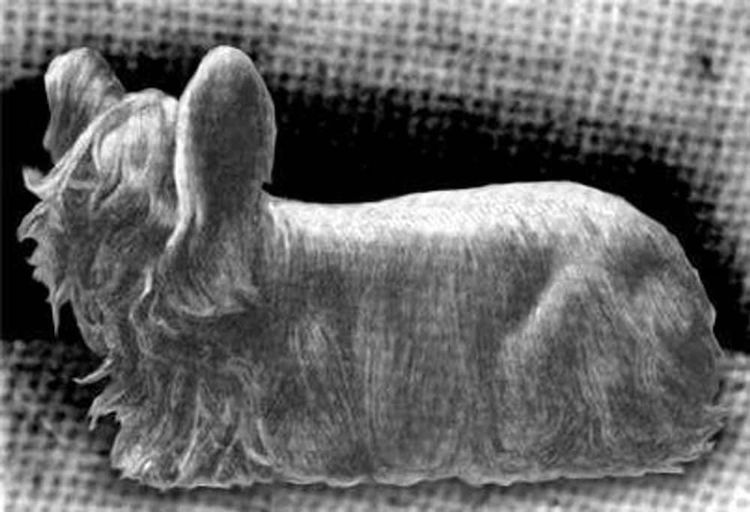 image-20260429173211-11