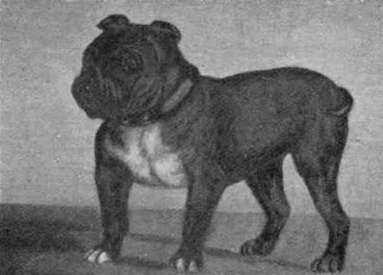 image-20260429173214-12