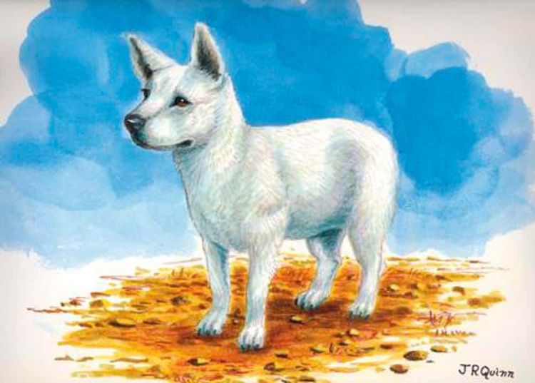 image-20260429173218-13