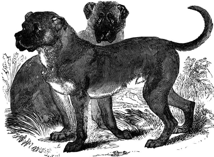 image-20260429173221-14