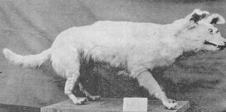 image-20260429173227-16