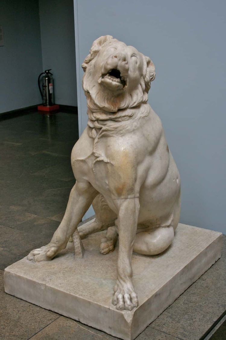 image-20260429173229-17