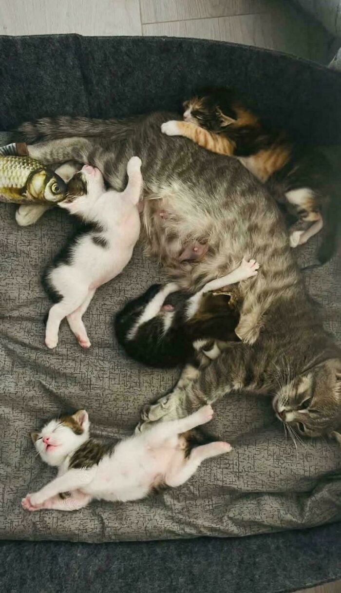 image-20260429220204-3