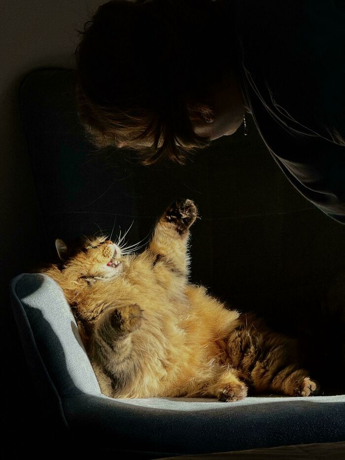 image-20260429220212-5