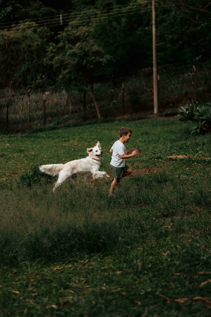 image-20260429220218-7