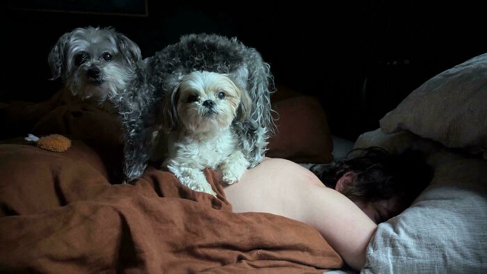 image-20260429220221-8