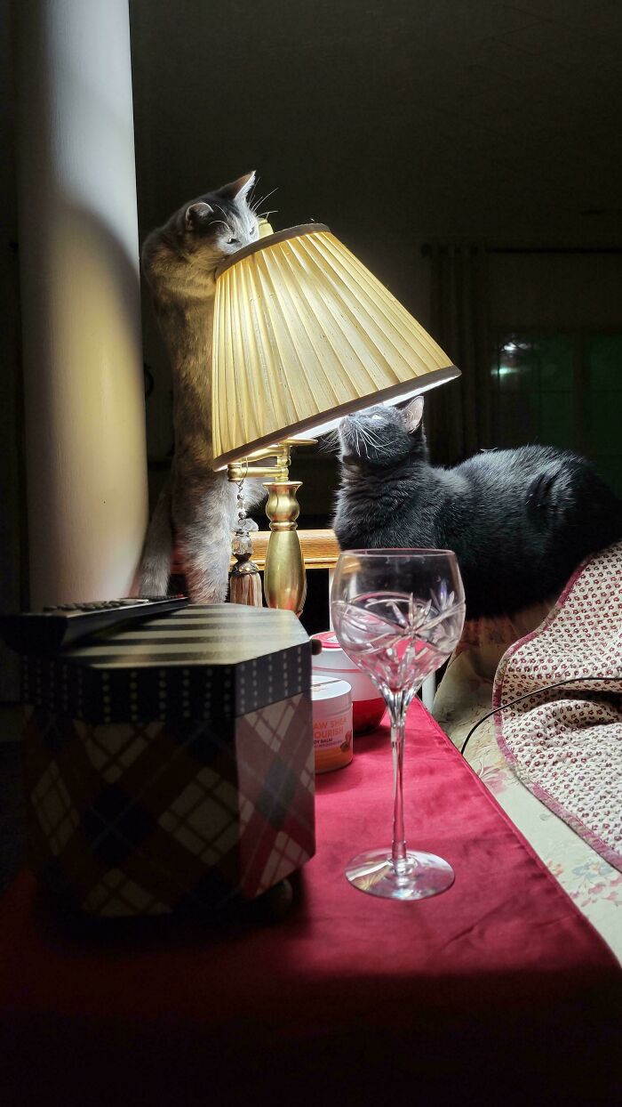 image-20260429220225-9