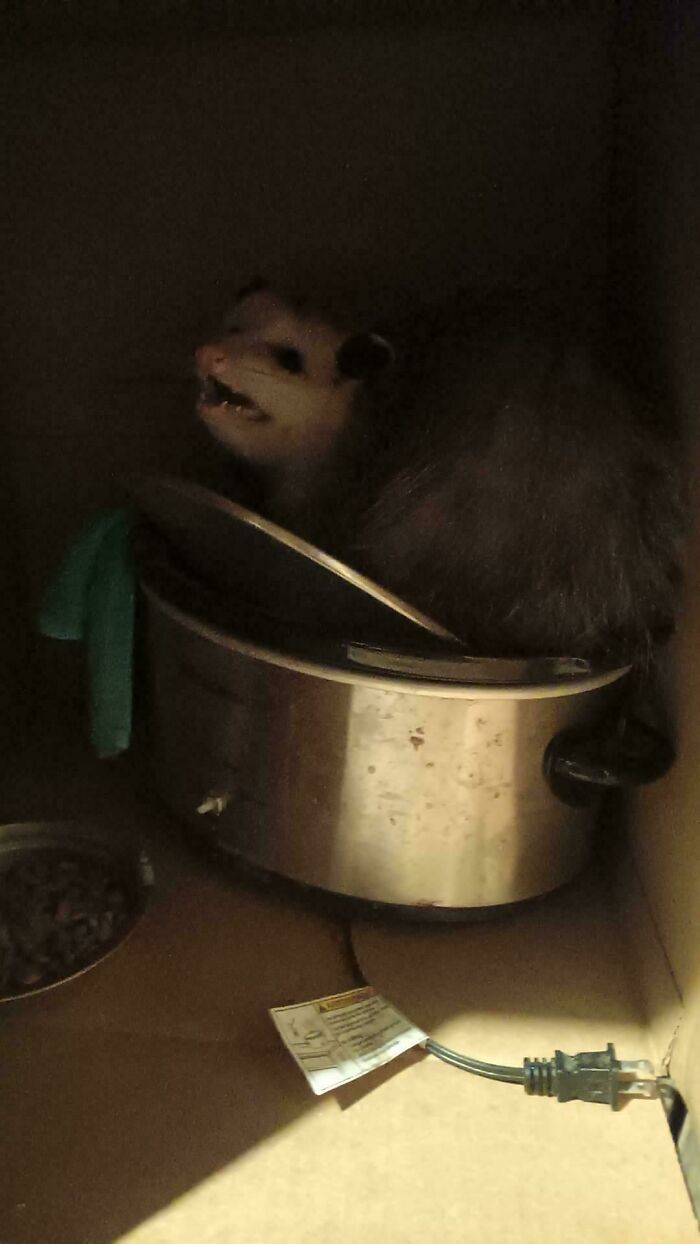 image-20260429220244-14