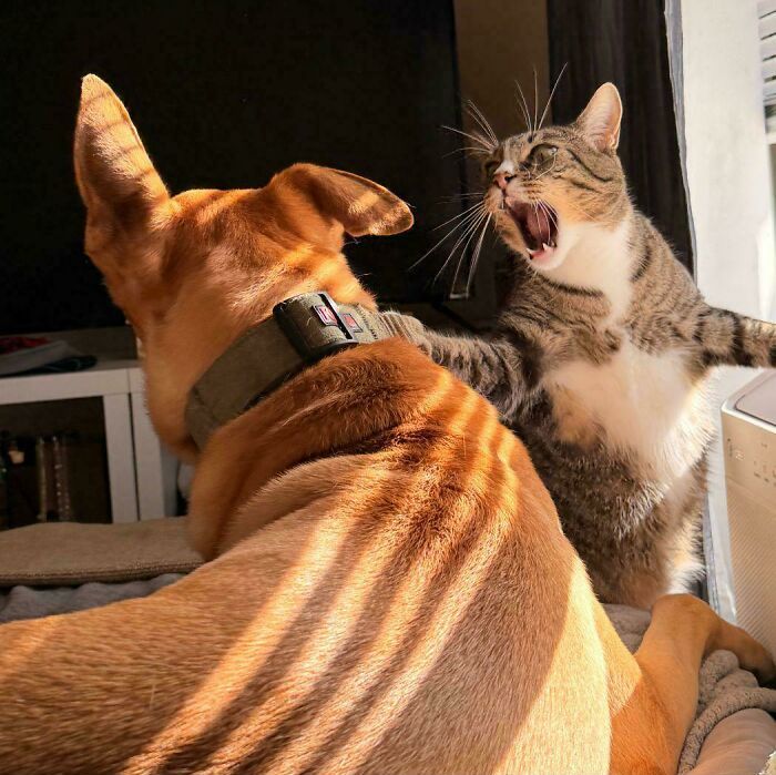 image-20260429220255-15