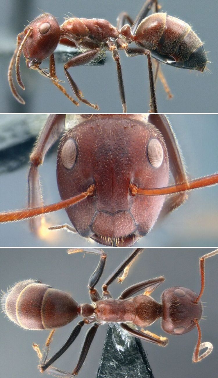 image-20260430141955-10