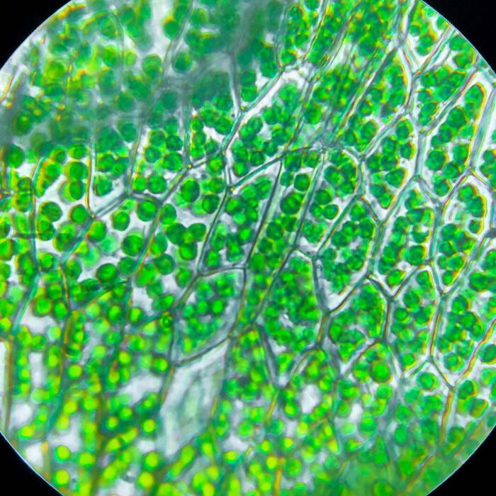 image-20260514102437-16