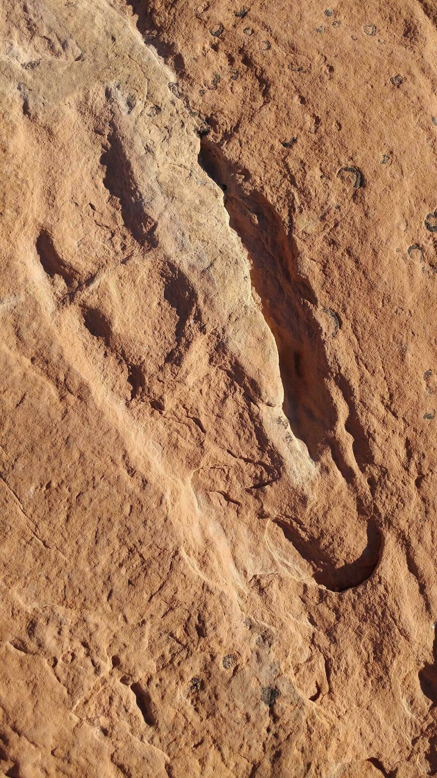 image-20260516172750-1
