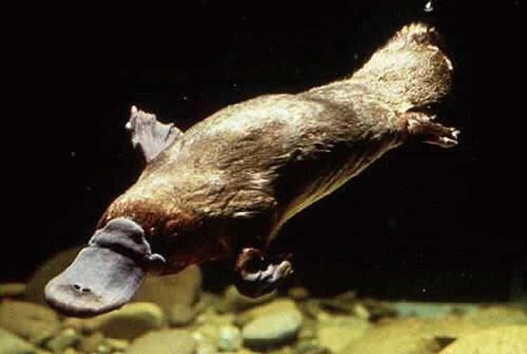 image-20260521140140-11