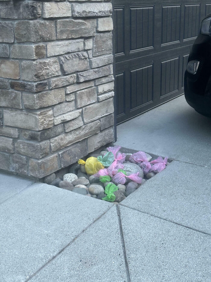 image-20260522160539-6