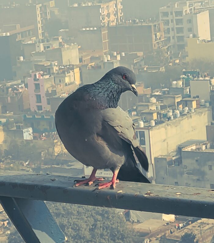 image-20260602232505-6