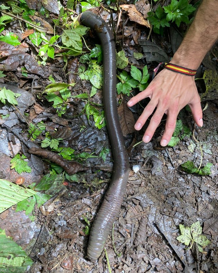 image-20260609170446-11