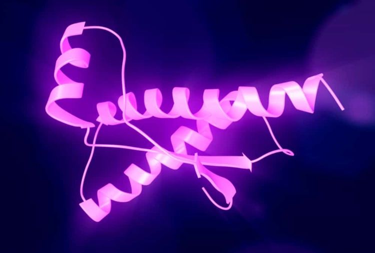 image-20260616174338-4