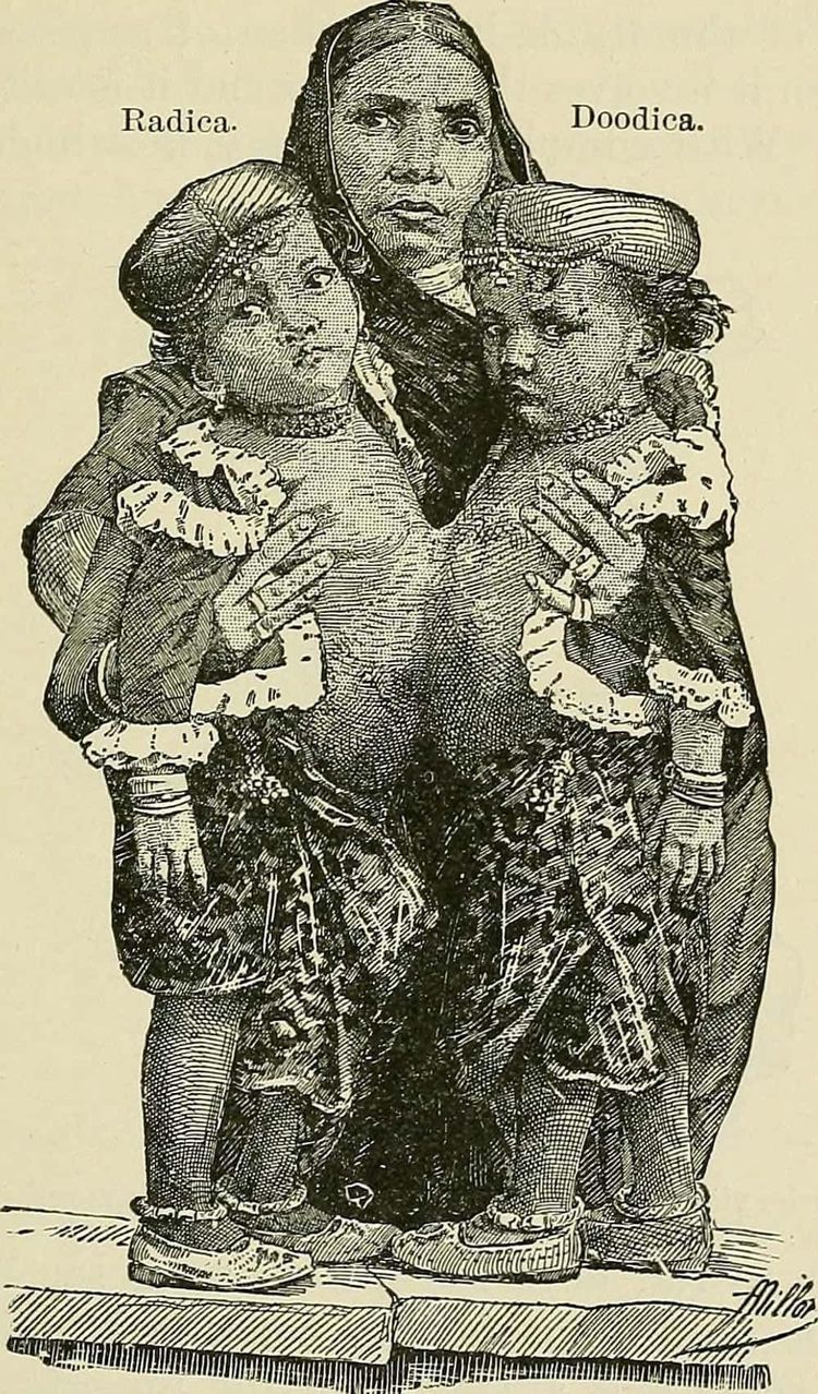 image-20260623170811-2
