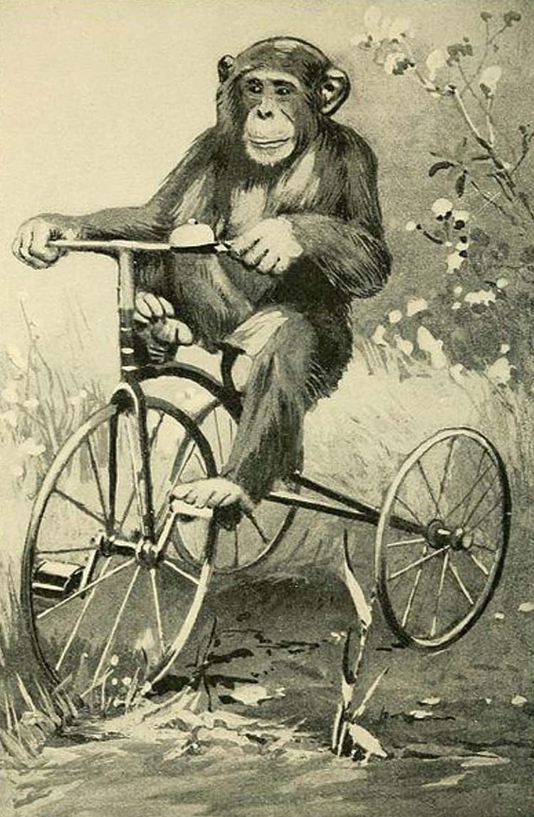 image-20260624171103-10