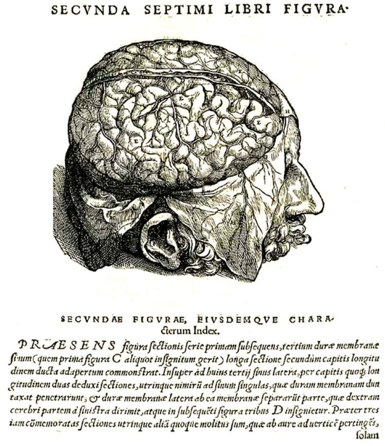 image-20260624171106-11