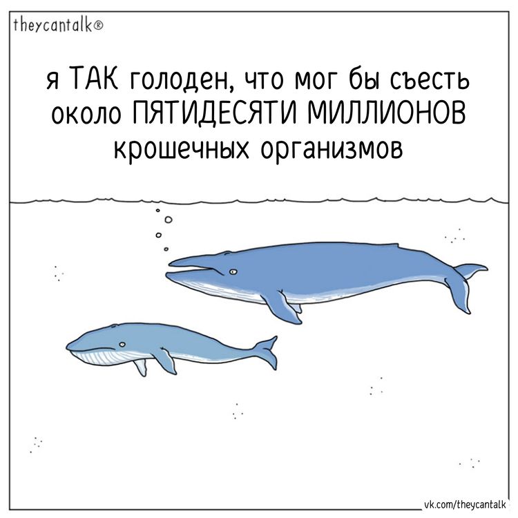 image-20260625154104-9