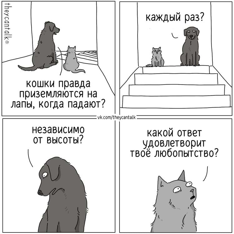 image-20260625154107-10